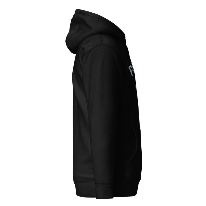 Pit Lane Clothing: Embroidered Heavyweight Fleece Hoodie - Velocity - carbon