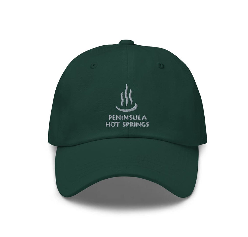 PENINSULAR HOT SPRINGS Embroidered cotton chino cap - Forest green
