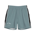 Pit Lane Clothing: European style swim trunks - Carbon fibre / Fuel