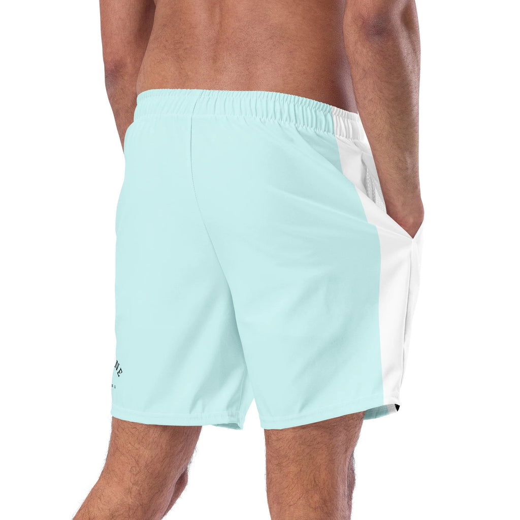 Pit Lane Clothing: European style swim trunks - Carbon fibre / Mint