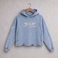 A light blue washed denim hoodie hanging on a wooden hanger against a textured gray wall. The hoodie features a distressed gold 'PIT LANE' winged logo printed on the chest and a matching logo on the right sleeve.
