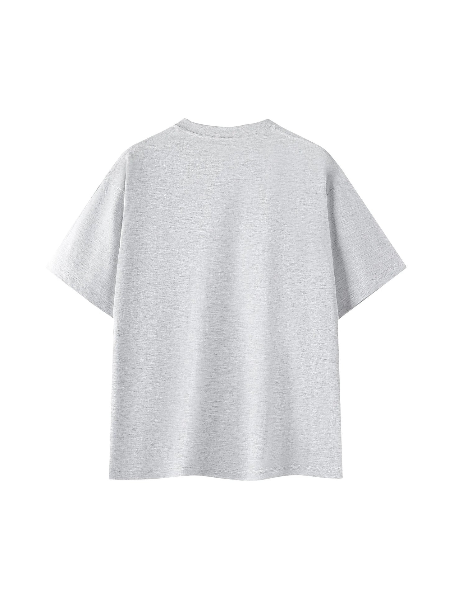 Pit Lane Clothing: Pure Cotton T-Shirt - Original - grey