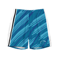 PIT LANE CLOTHING: Premium Swim Trunks - Sky