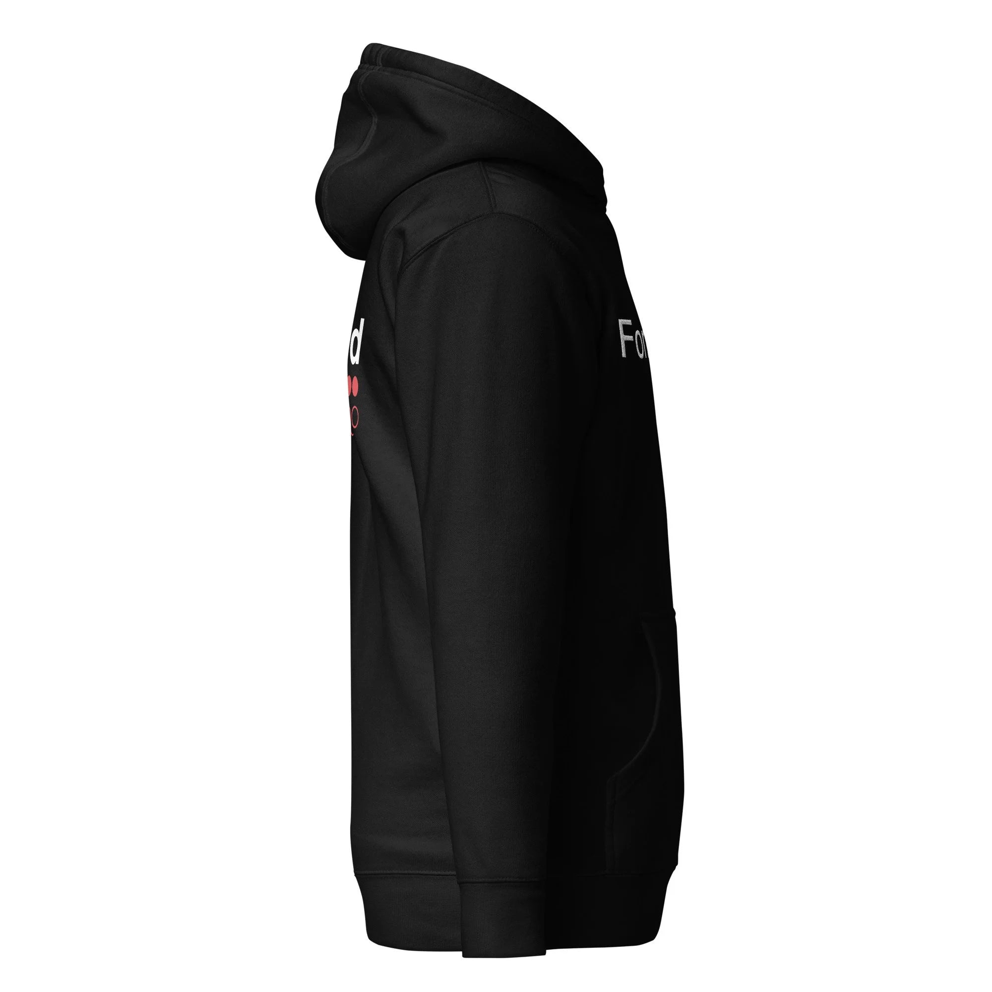 Formula Ford Official Embroidered Fleece Hoodie - carbon / black