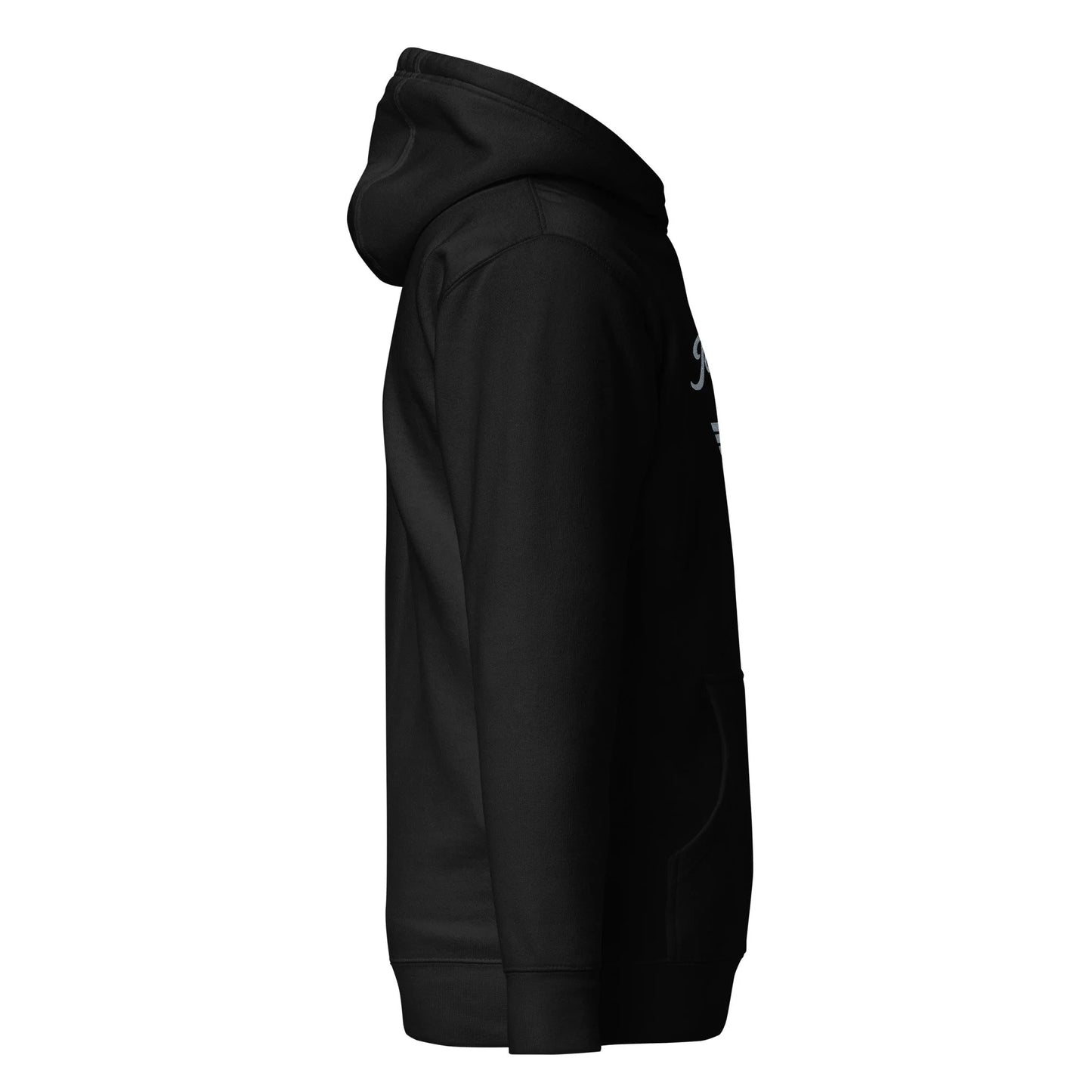 Pit Lane Clothing: Embroidered Heavyweight Hoodie - Chicane - carbon/black