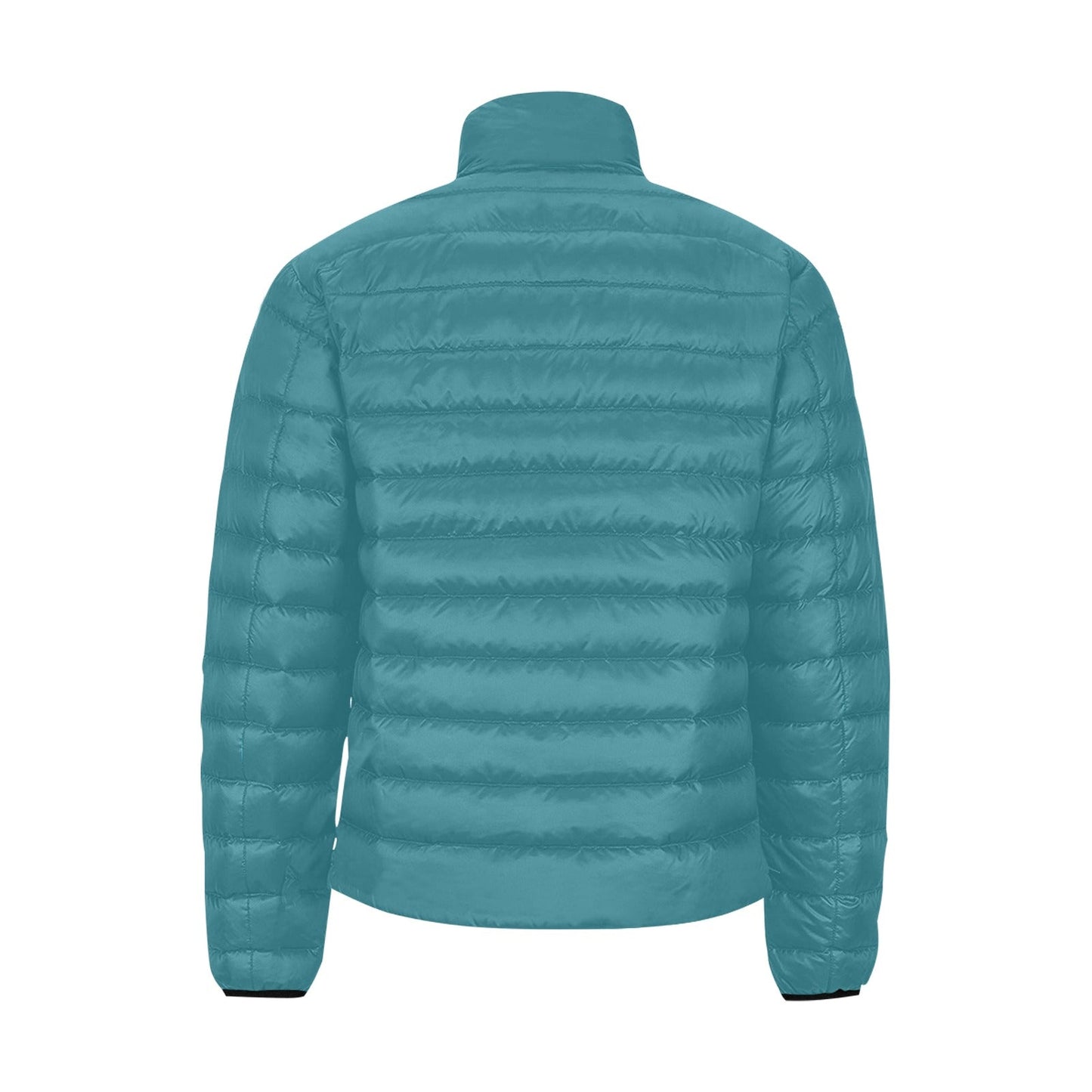 CIRCUITO MIKE G - puffer jacket - Teal